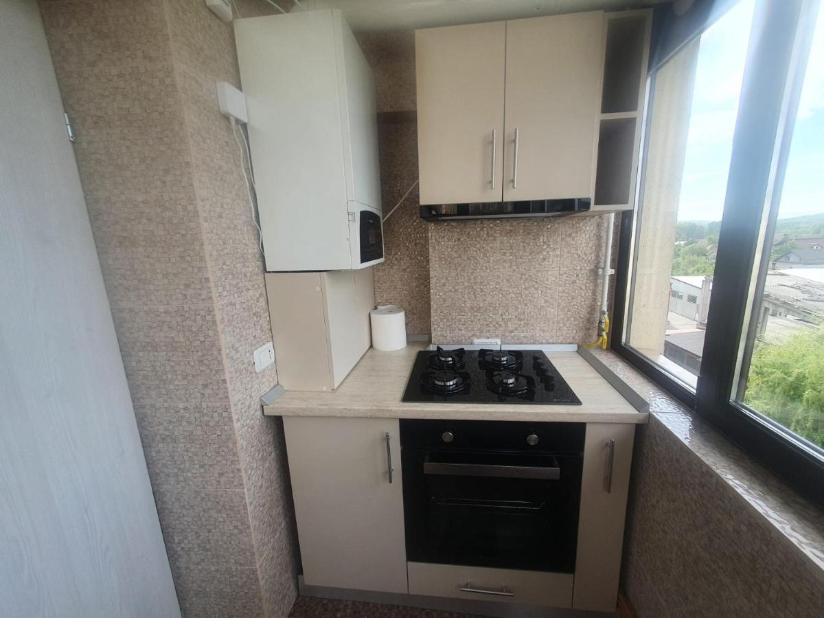 Nicole Apartment Curtea De Arges