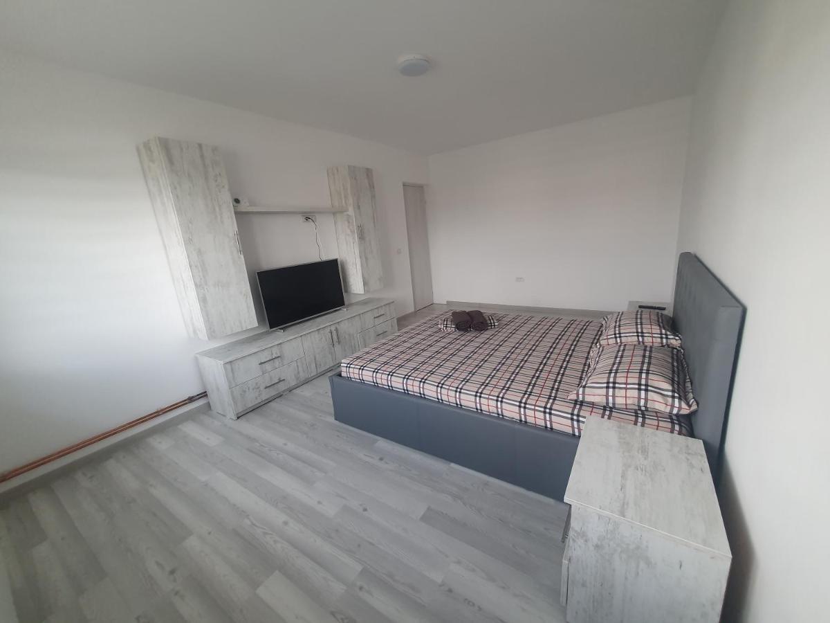 Apartment Nicole Curtea De Arges