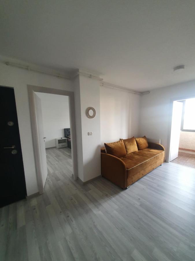 Apartment Nicole Curtea De Arges