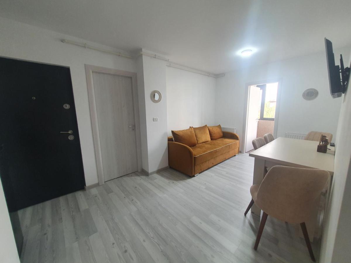 Apartment Nicole Curtea De Arges